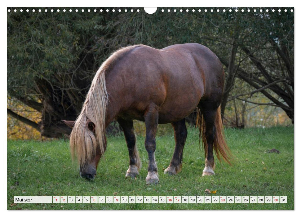 Heimatmomente - Ländliche Impressionen (CALVENDO Wandkalender 2027)