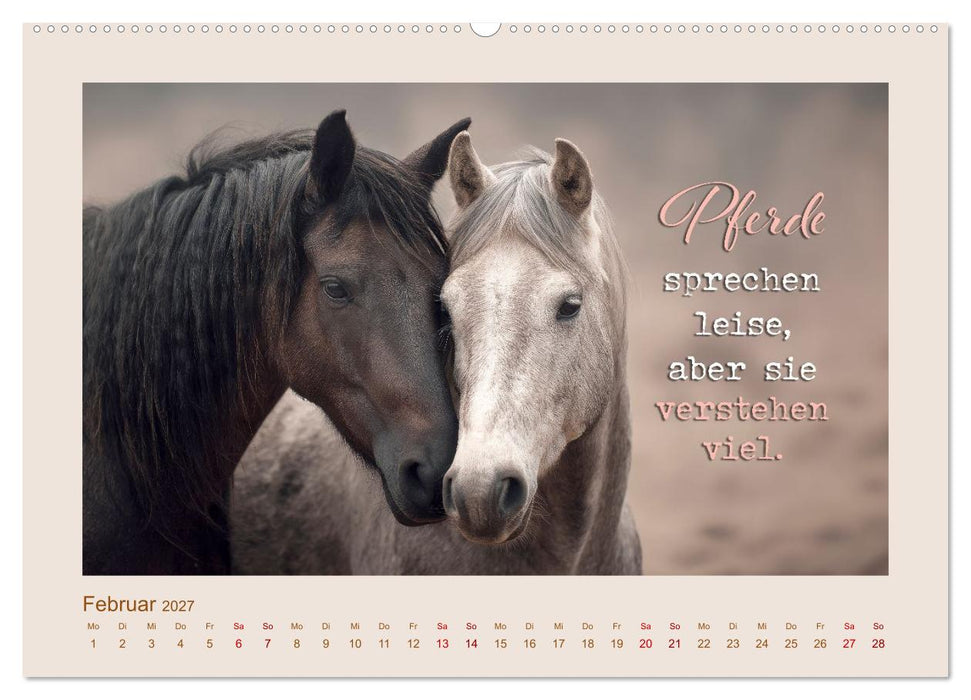 Pferdepoesie - Augenblicke voller Seele (CALVENDO Wandkalender 2027)