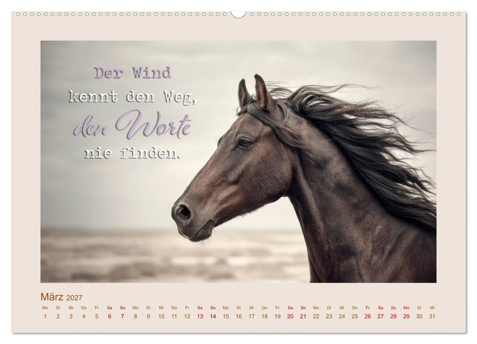 Pferdepoesie - Augenblicke voller Seele (CALVENDO Wandkalender 2027)