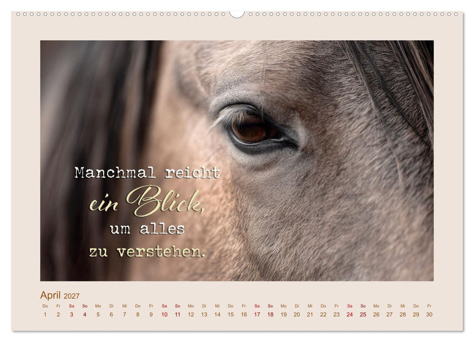 Pferdepoesie - Augenblicke voller Seele (CALVENDO Wandkalender 2027)