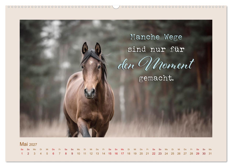 Pferdepoesie - Augenblicke voller Seele (CALVENDO Wandkalender 2027)