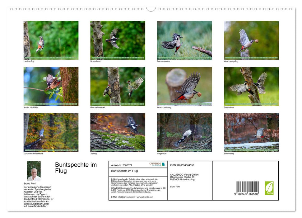 Buntspechte im Flug (CALVENDO Wandkalender 2027)