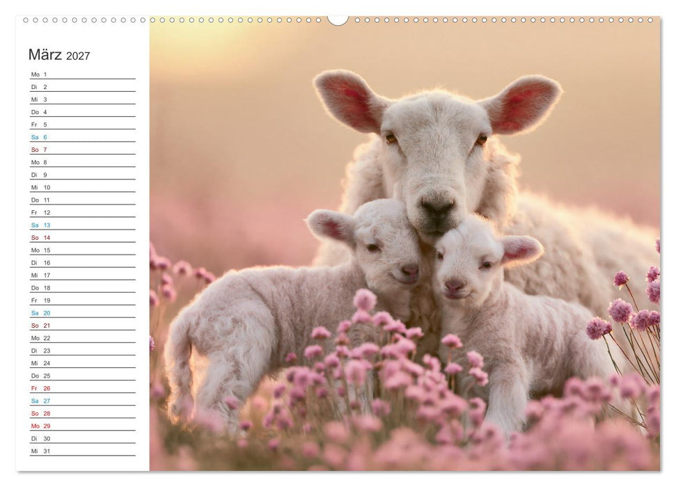 Bauernhofzauber (CALVENDO Wandkalender 2027)