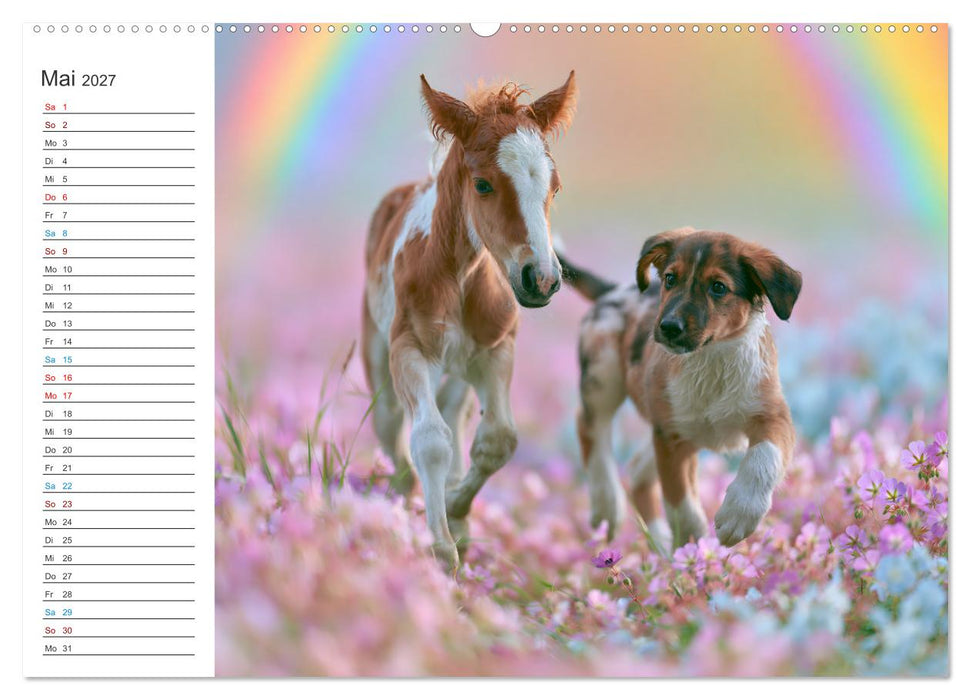 Bauernhofzauber (CALVENDO Wandkalender 2027)