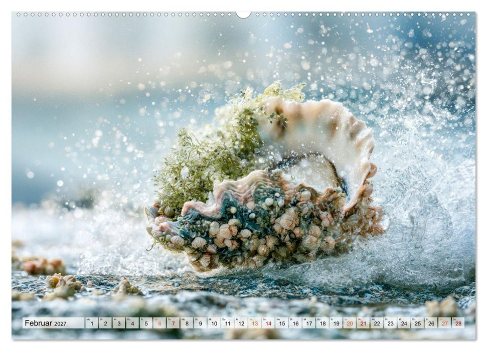 Perlen des Meeres (CALVENDO Wandkalender 2027)