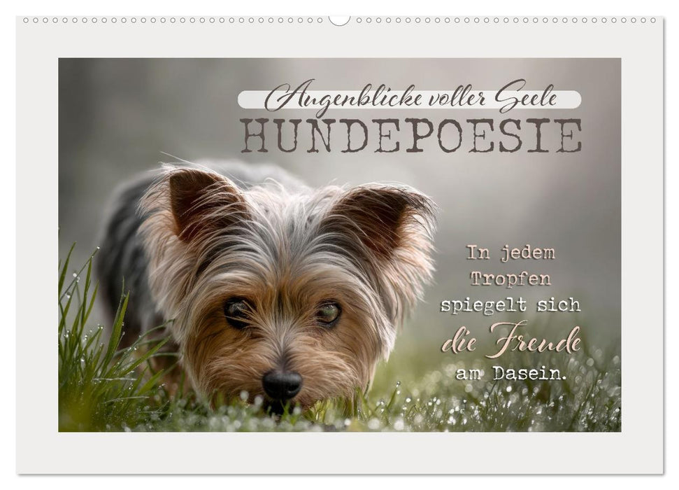 Hundepoesie - Augenblicke voller Seele (CALVENDO Wandkalender 2027)
