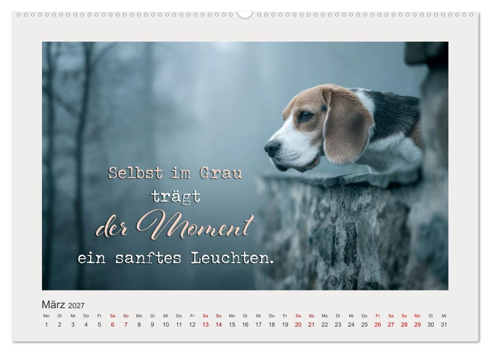 Hundepoesie - Augenblicke voller Seele (CALVENDO Wandkalender 2027)