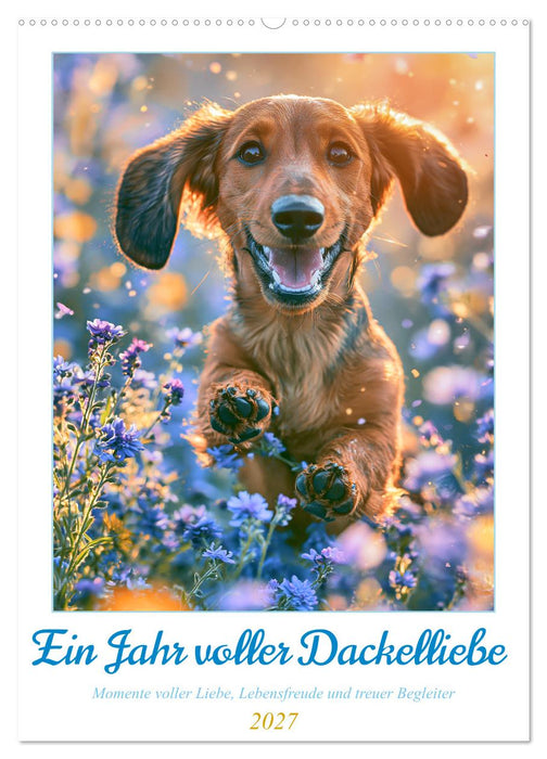 Ein Jahr voller Dackelliebe (CALVENDO Wandkalender 2027)