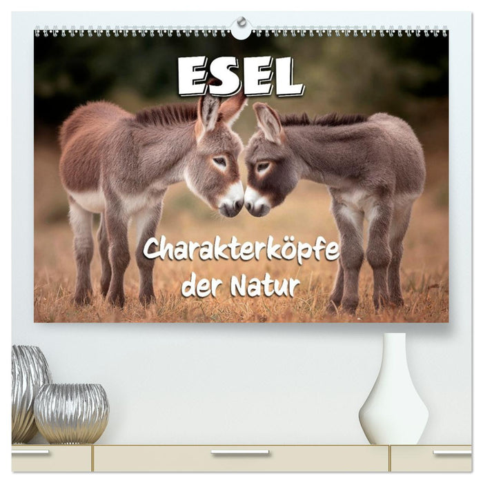 Esel - Charakterköpfe der Natur (CALVENDO Premium Wandkalender 2027)
