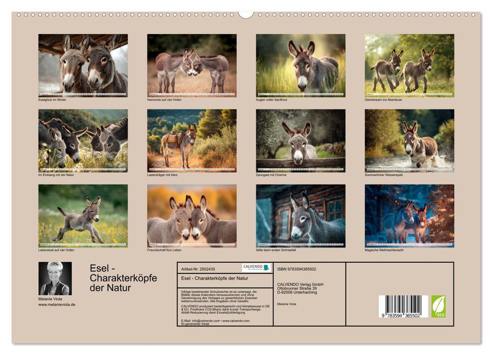 Esel - Charakterköpfe der Natur (CALVENDO Premium Wandkalender 2027)