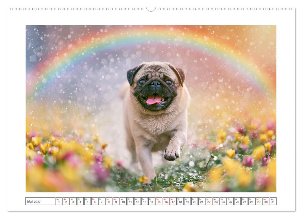 Edle Möpse (CALVENDO Premium Wandkalender 2027)