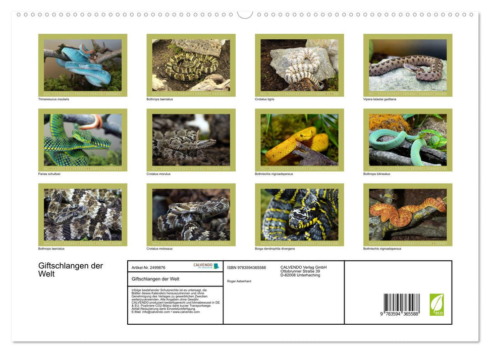 Giftschlangen der Welt (CALVENDO Premium Wandkalender 2027)
