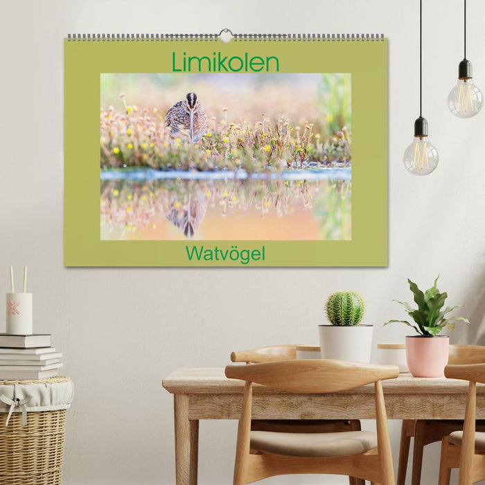 Limikolen - Watvögel aus Europa (CALVENDO Wandkalender 2027)