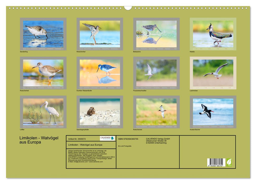 Limikolen - Watvögel aus Europa (CALVENDO Wandkalender 2027)