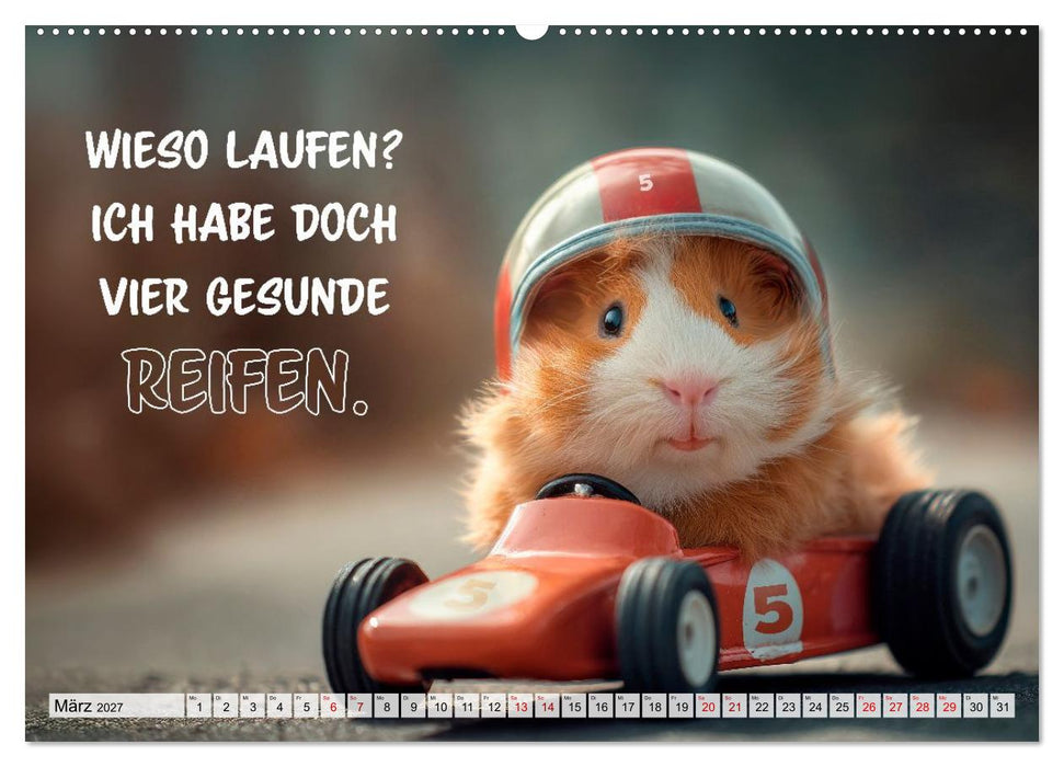 Meerschweinchen - Echt zum Quieken (CALVENDO Wandkalender 2027)