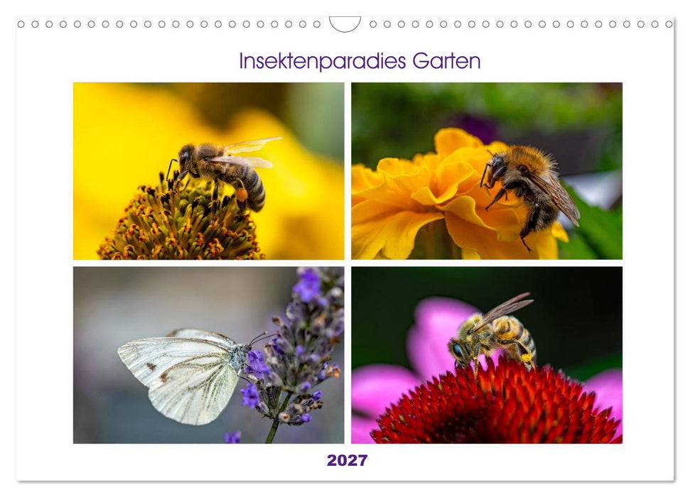Insektenparadies Garten (CALVENDO Wandkalender 2027)