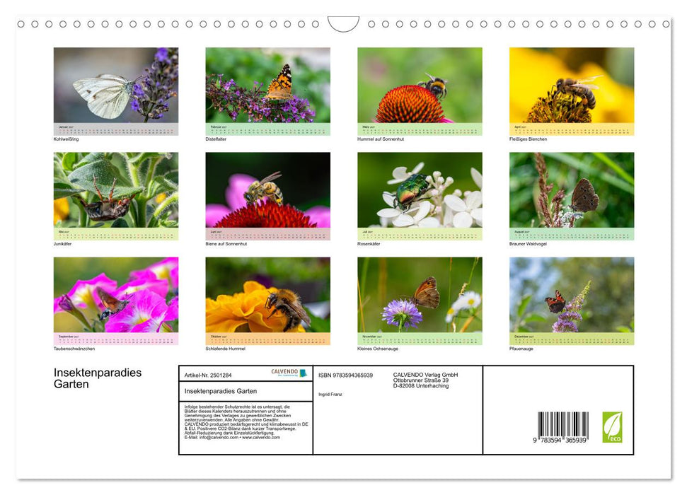 Insektenparadies Garten (CALVENDO Wandkalender 2027)