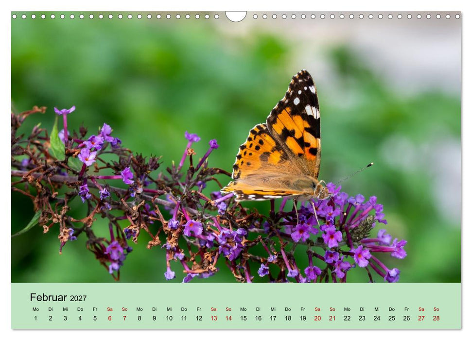 Insektenparadies Garten (CALVENDO Wandkalender 2027)