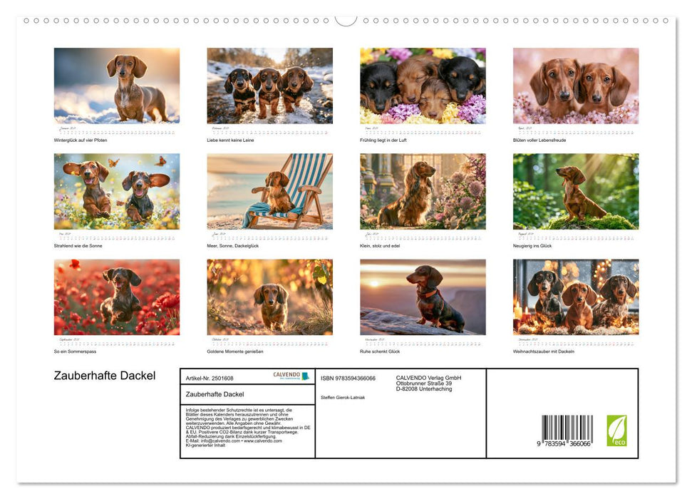 Zauberhafte Dackel (CALVENDO Premium Wandkalender 2027)