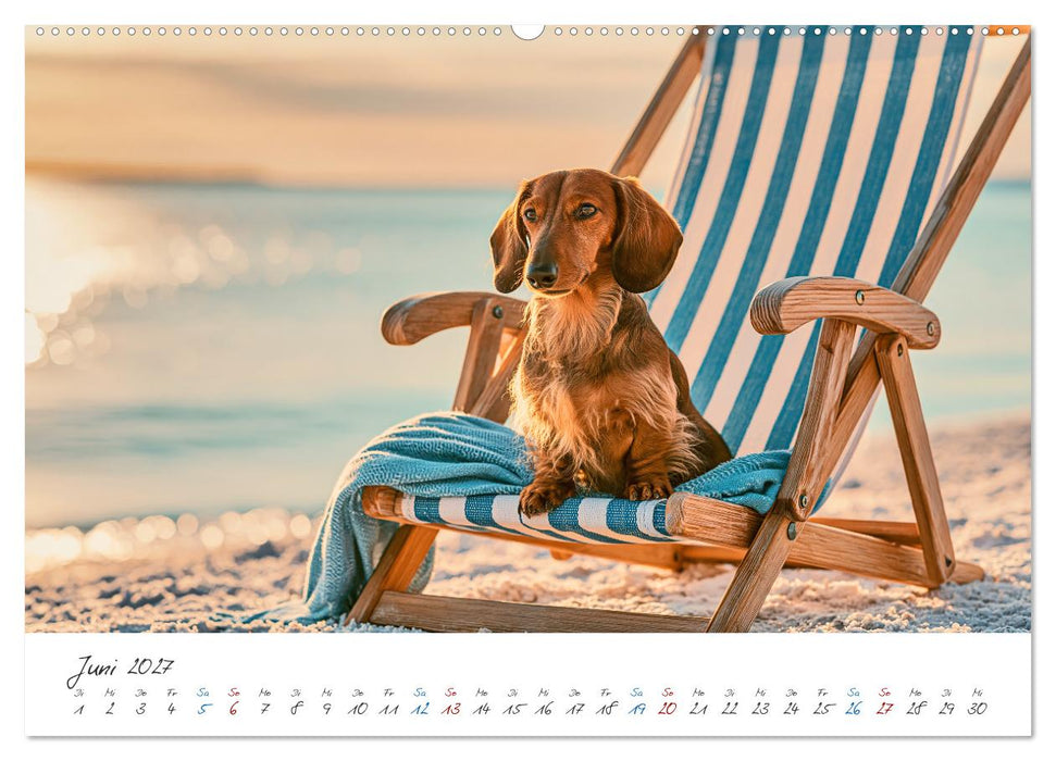 Zauberhafte Dackel (CALVENDO Premium Wandkalender 2027)