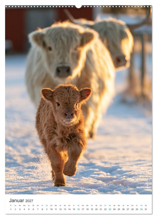 Tierische Landliebe (CALVENDO Wandkalender 2027)