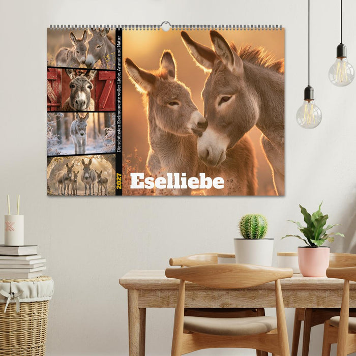 Eselliebe (CALVENDO Wandkalender 2027)