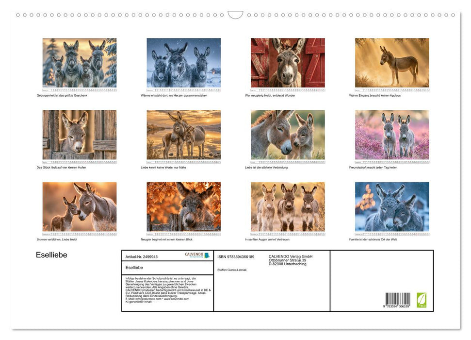Eselliebe (CALVENDO Wandkalender 2027)