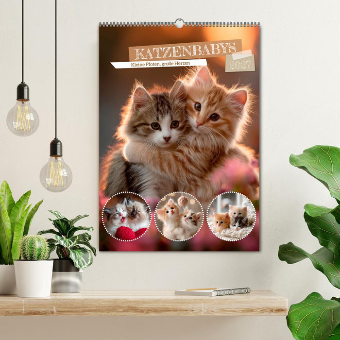 Katzenbabys - Kleine Pfoten, große Herzen (CALVENDO Wandkalender 2027)