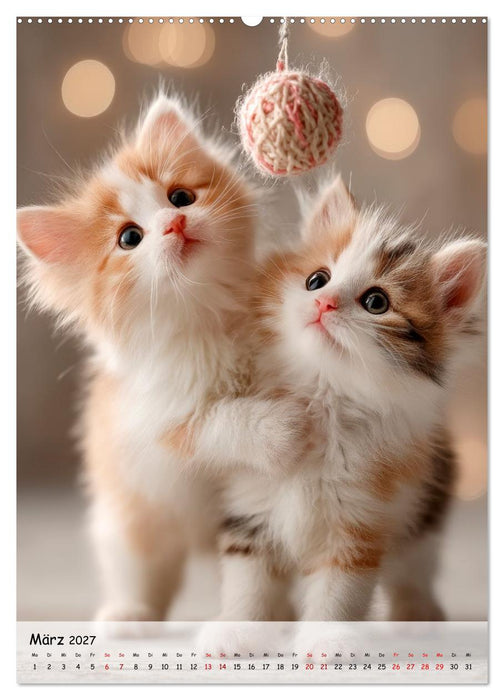 Katzenbabys - Kleine Pfoten, große Herzen (CALVENDO Wandkalender 2027)