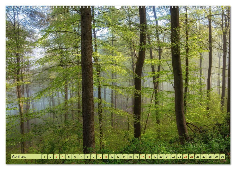 Grüne Welten (CALVENDO Premium Wandkalender 2027)