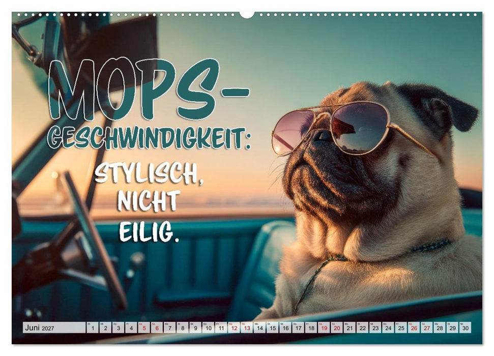 Mops-Alarm (CALVENDO Premium Wandkalender 2027)