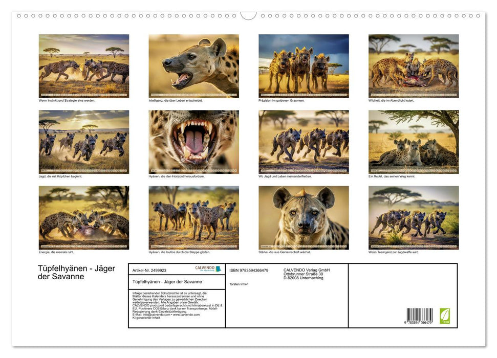 Tüpfelhyänen - Jäger der Savanne (CALVENDO Wandkalender 2027)