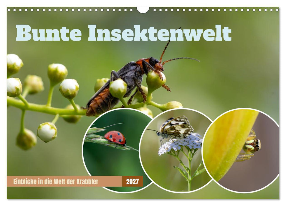 Bunte Insektenwelt (CALVENDO Wandkalender 2027)