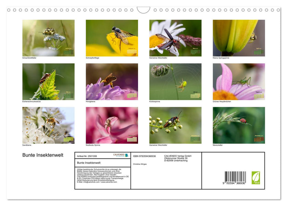 Bunte Insektenwelt (CALVENDO Wandkalender 2027)