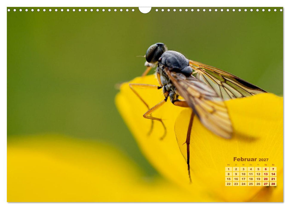 Bunte Insektenwelt (CALVENDO Wandkalender 2027)