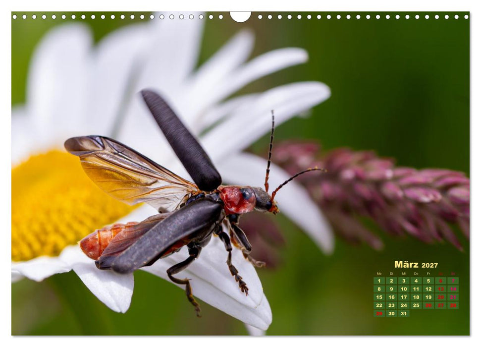 Bunte Insektenwelt (CALVENDO Wandkalender 2027)