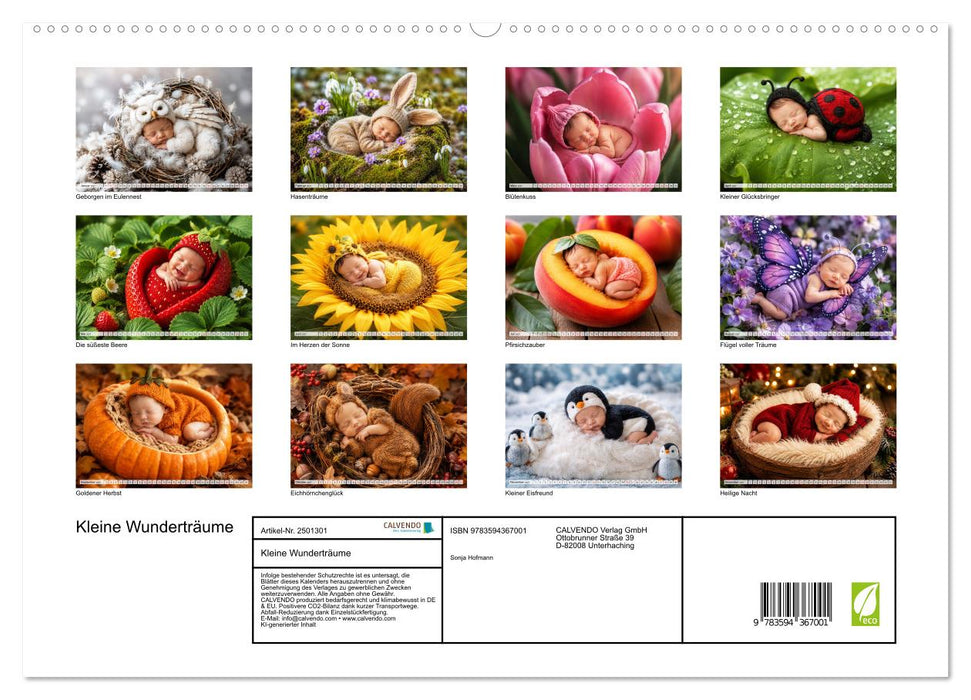 Kleine Wunderträume (CALVENDO Premium Wandkalender 2027)
