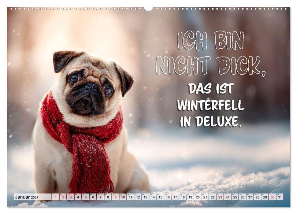 Mops-Alarm (CALVENDO Wandkalender 2027)