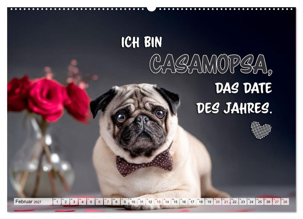 Mops-Alarm (CALVENDO Wandkalender 2027)