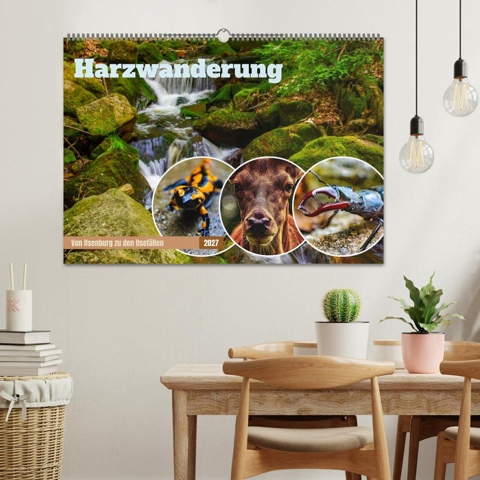 Harzwanderung - Von Ilsenburg zu den Ilsefällen (CALVENDO Wandkalender 2027)