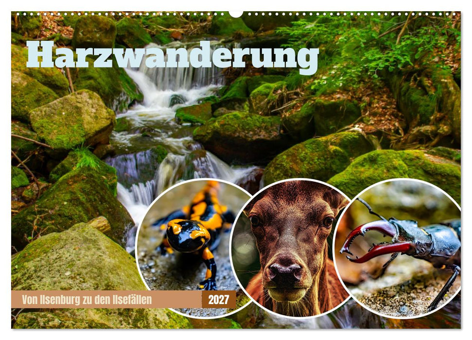 Harzwanderung - Von Ilsenburg zu den Ilsefällen (CALVENDO Wandkalender 2027)