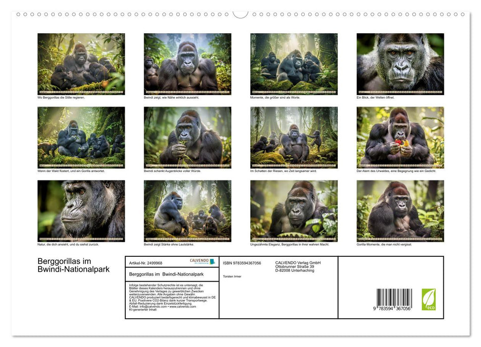 Berggorillas im Bwindi-Nationalpark (CALVENDO Premium Wandkalender 2027)