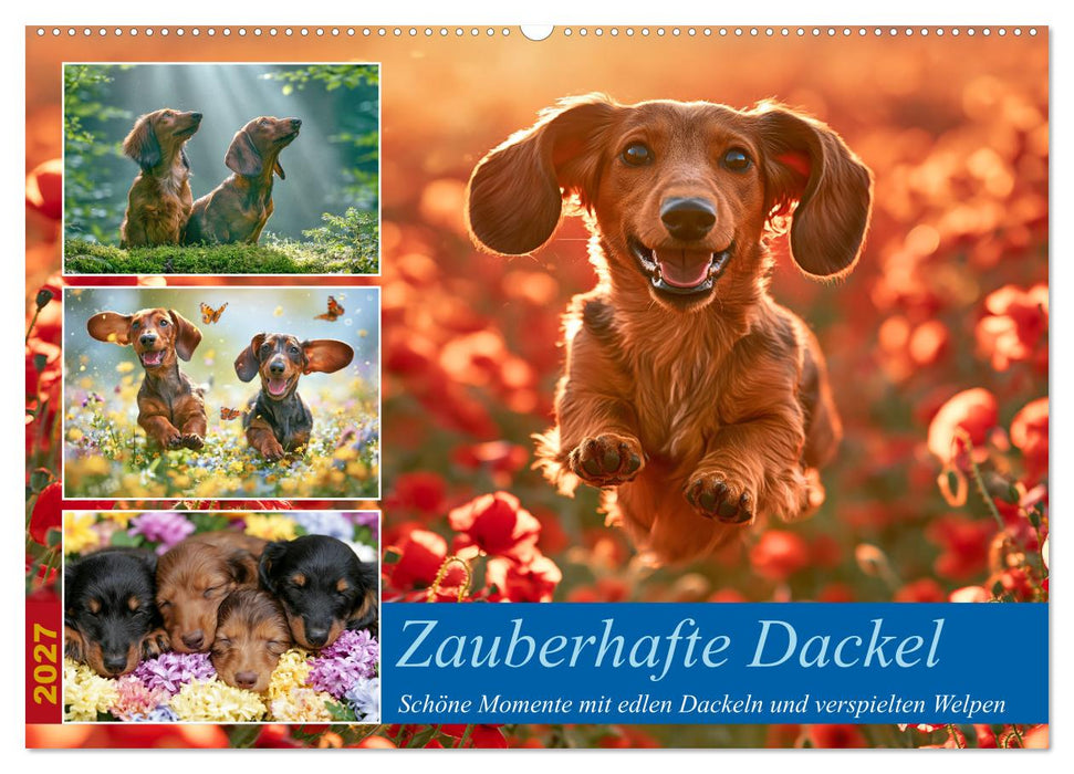 Zauberhafte Dackel (CALVENDO Wandkalender 2027)