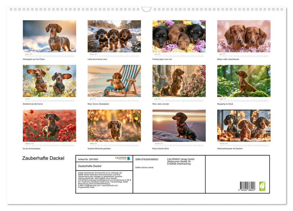 Zauberhafte Dackel (CALVENDO Wandkalender 2027)