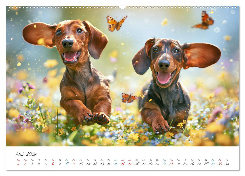 Zauberhafte Dackel (CALVENDO Wandkalender 2027)
