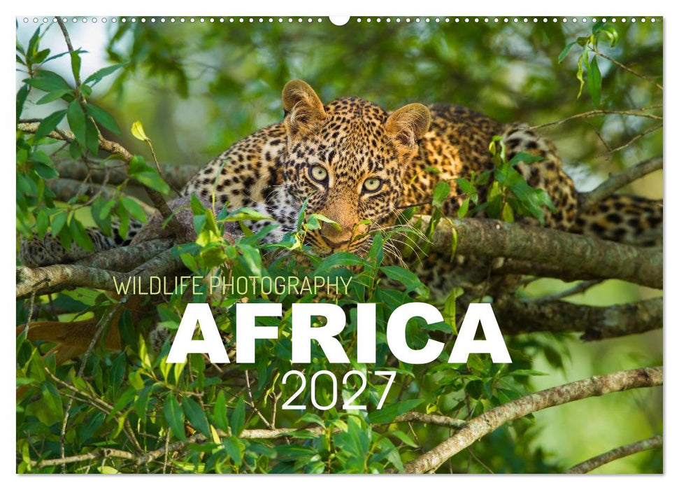 Africa Wildlife Photography (CALVENDO Monthly Calendar 2027)
