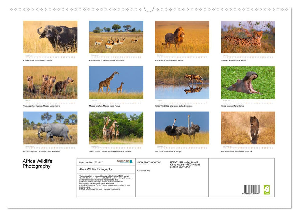 Africa Wildlife Photography (CALVENDO Monthly Calendar 2027)