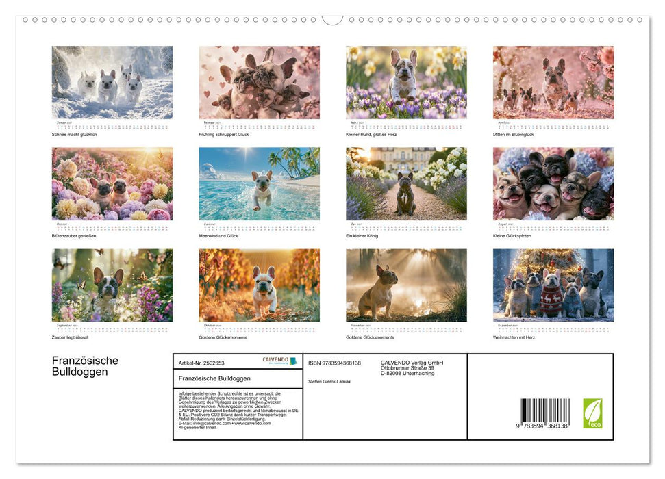 Französische Bulldoggen (CALVENDO Premium Wandkalender 2027)