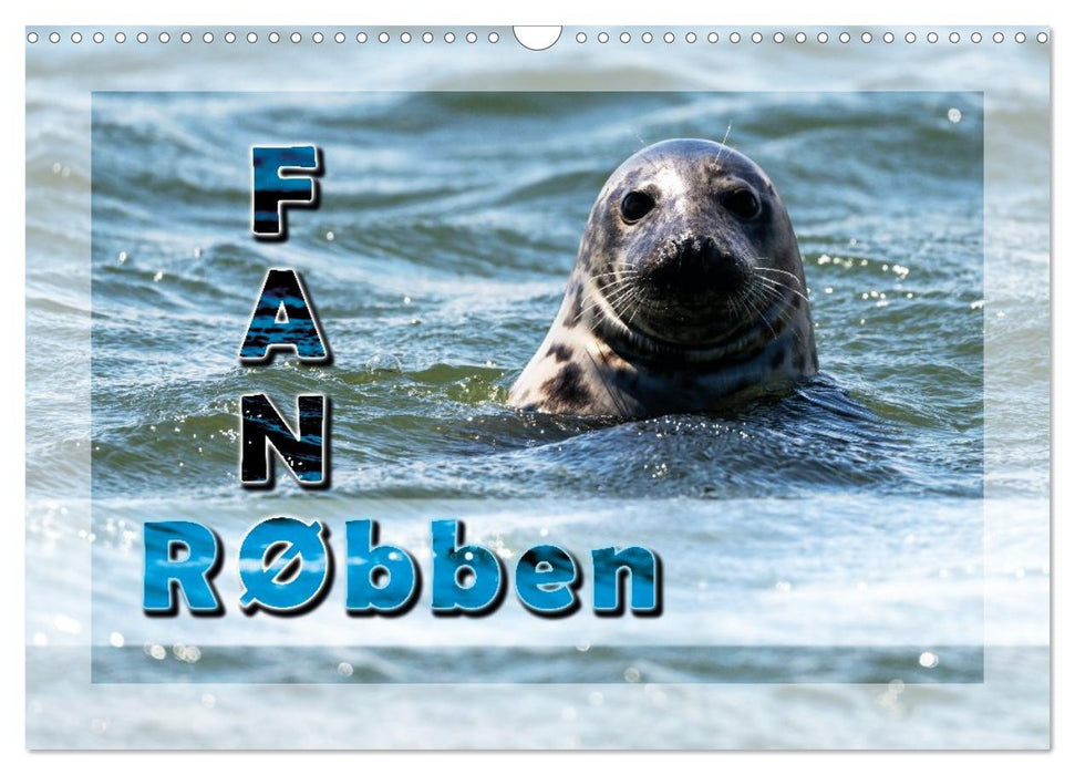Fanø - Robben (CALVENDO Wandkalender 2027)