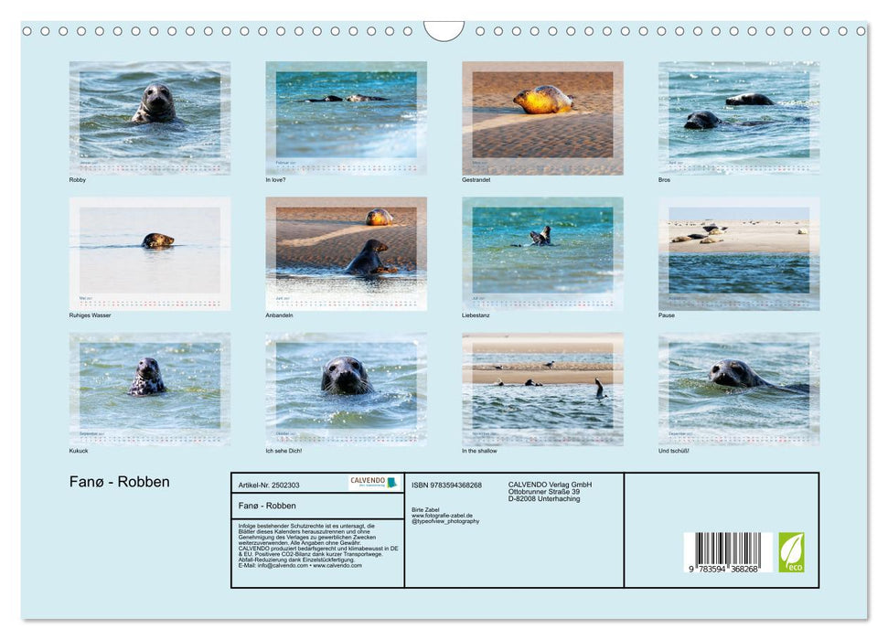 Fanø - Robben (CALVENDO Wandkalender 2027)